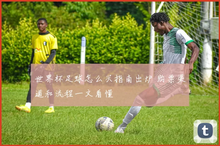 世界杯足球怎么买指南出炉 购票渠道和流程一文看懂
