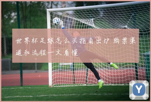 世界杯足球怎么买指南出炉 购票渠道和流程一文看懂