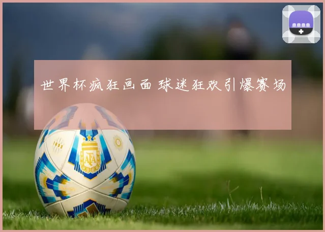 世界杯疯狂画面 球迷狂欢引爆赛场